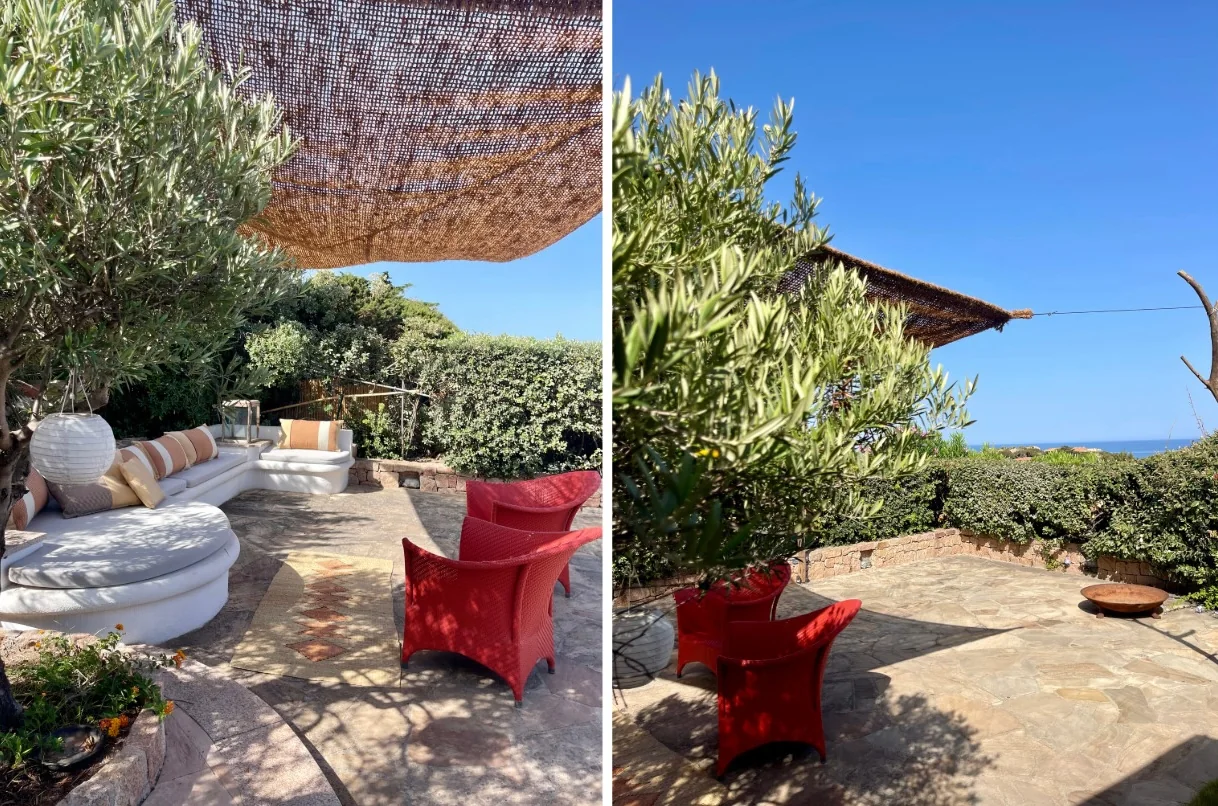 Terrace seating among olive trees